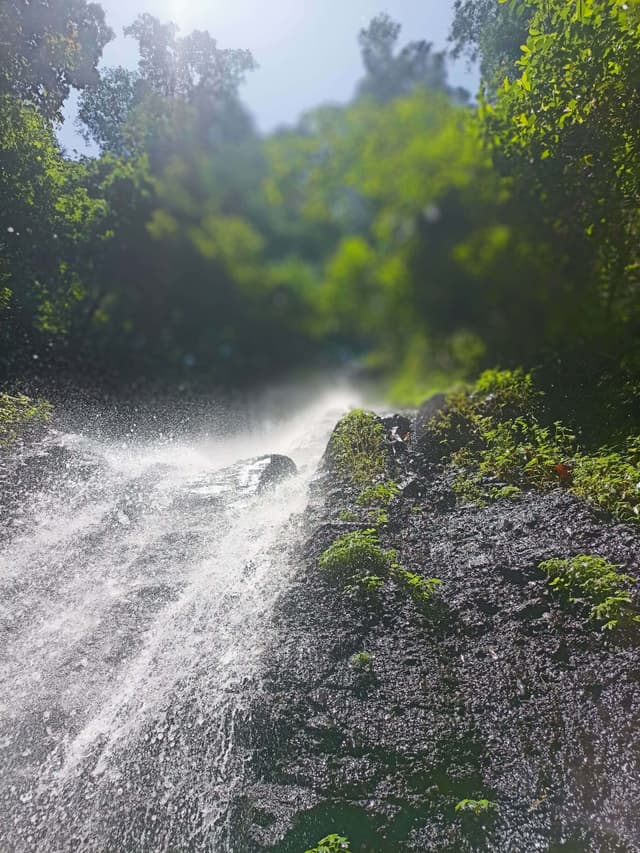 Image 21
